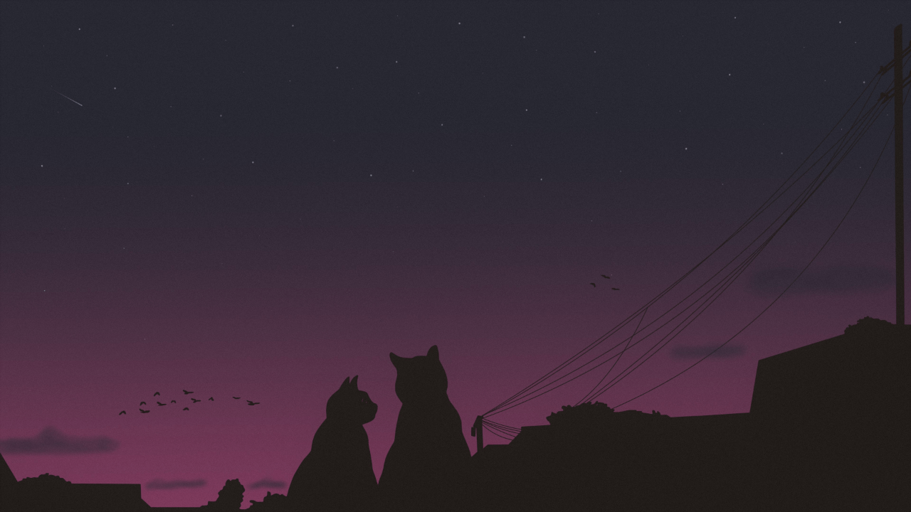Céu de Dentro preview